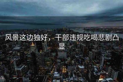風(fēng)景這邊獨(dú)好，干部違規(guī)吃喝悲劇凸顯